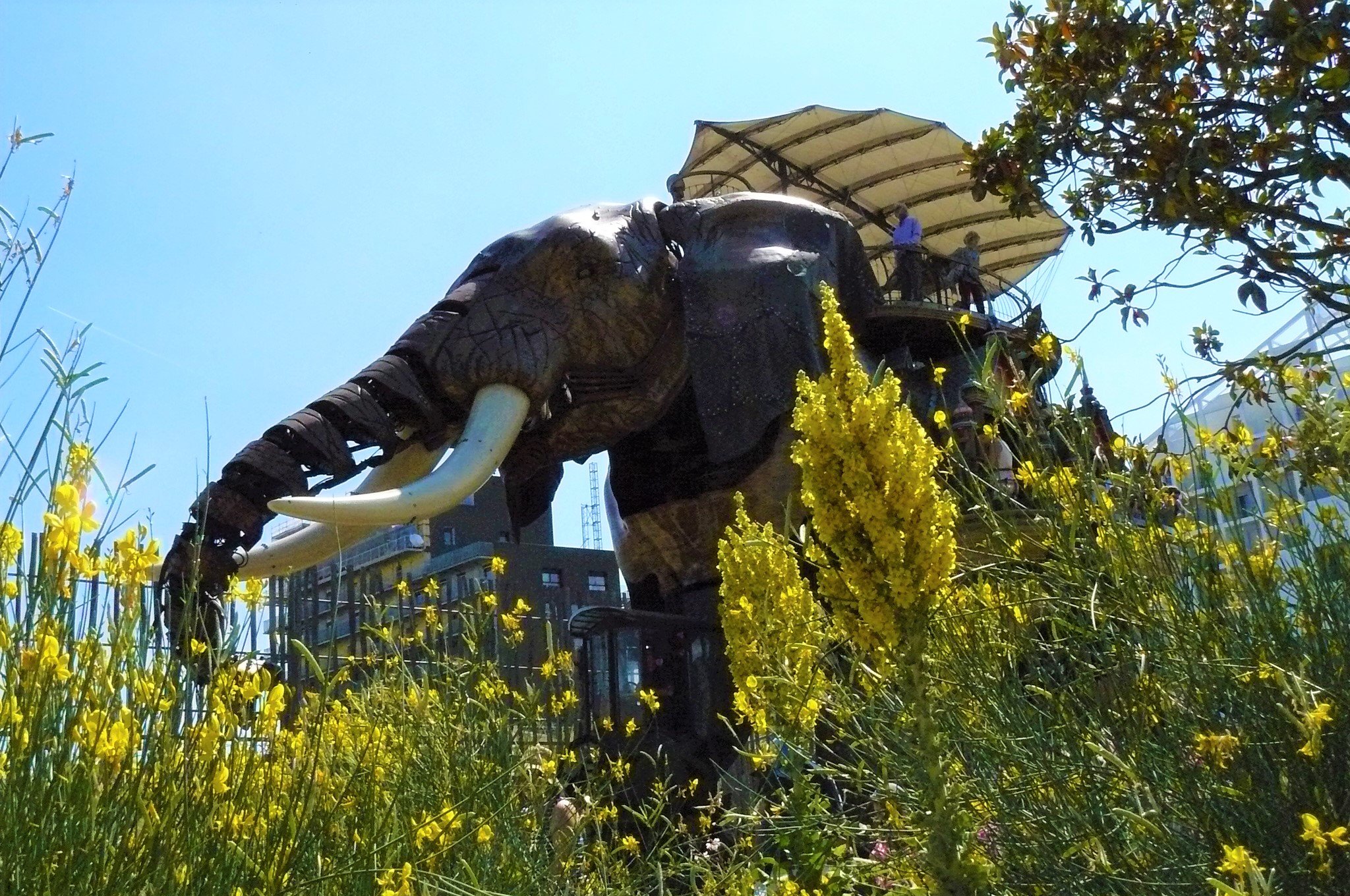 Wood elephant of the Machines de l'Ile in Nantes 