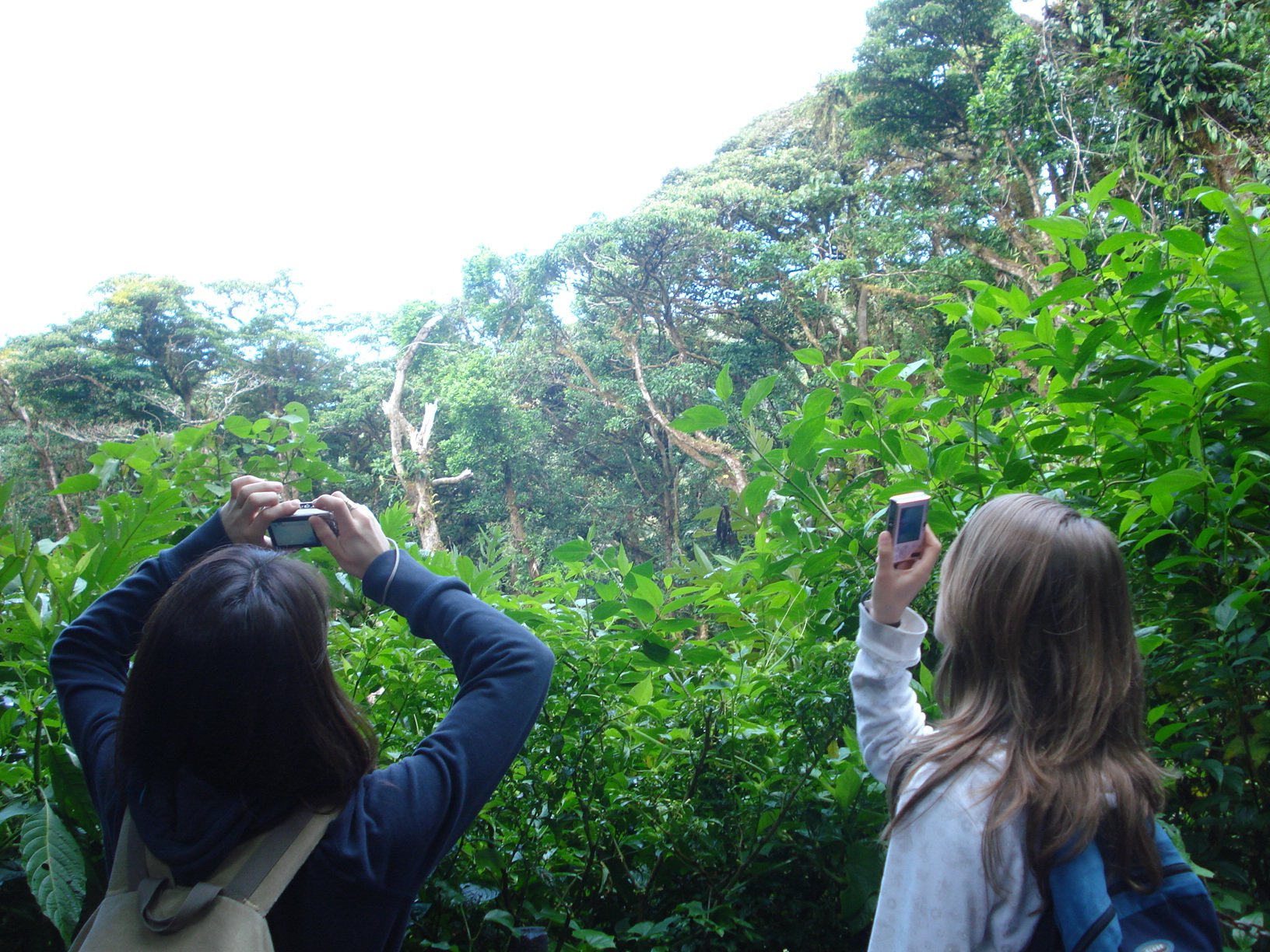 Students taking pictures in the tropical forest