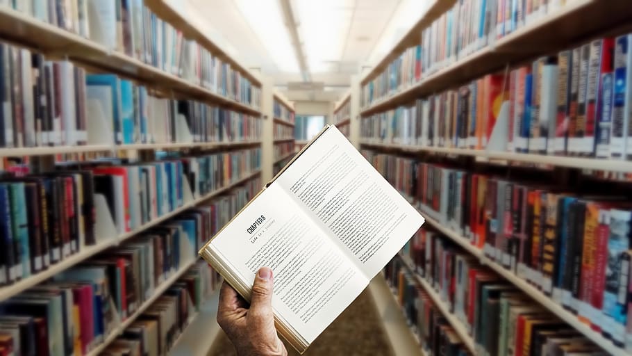 library-books-shelf-reading-open-literature