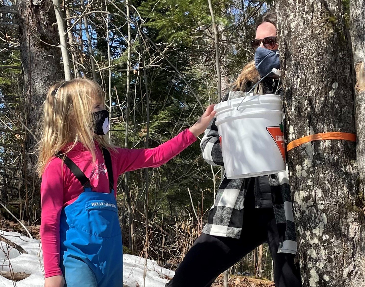 JSED_Collecting Maple Sap with the Family