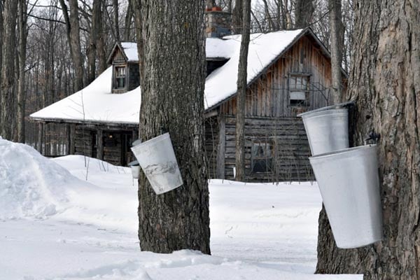 JSED_Sugar Shack_Sucrerie de la Montagne