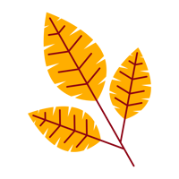 JSET-ED-2025-Domestic Brochure-Blog assets_JSET-Blog-body1