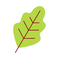 JSET-ED-2025-Domestic Brochure-Blog assets_JSET-Blog-body2