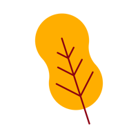 JSET-ED-2025-Domestic Brochure-Blog assets_JSET-Blog-body3