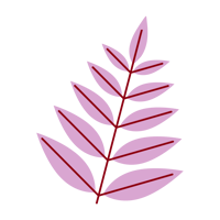 JSET-ED-2025-Domestic Brochure-Blog assets_JSET-Blog-body4