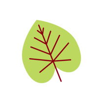 JSET-ED-2025-Domestic Brochure-Blog assets_JSET-Blog-body5