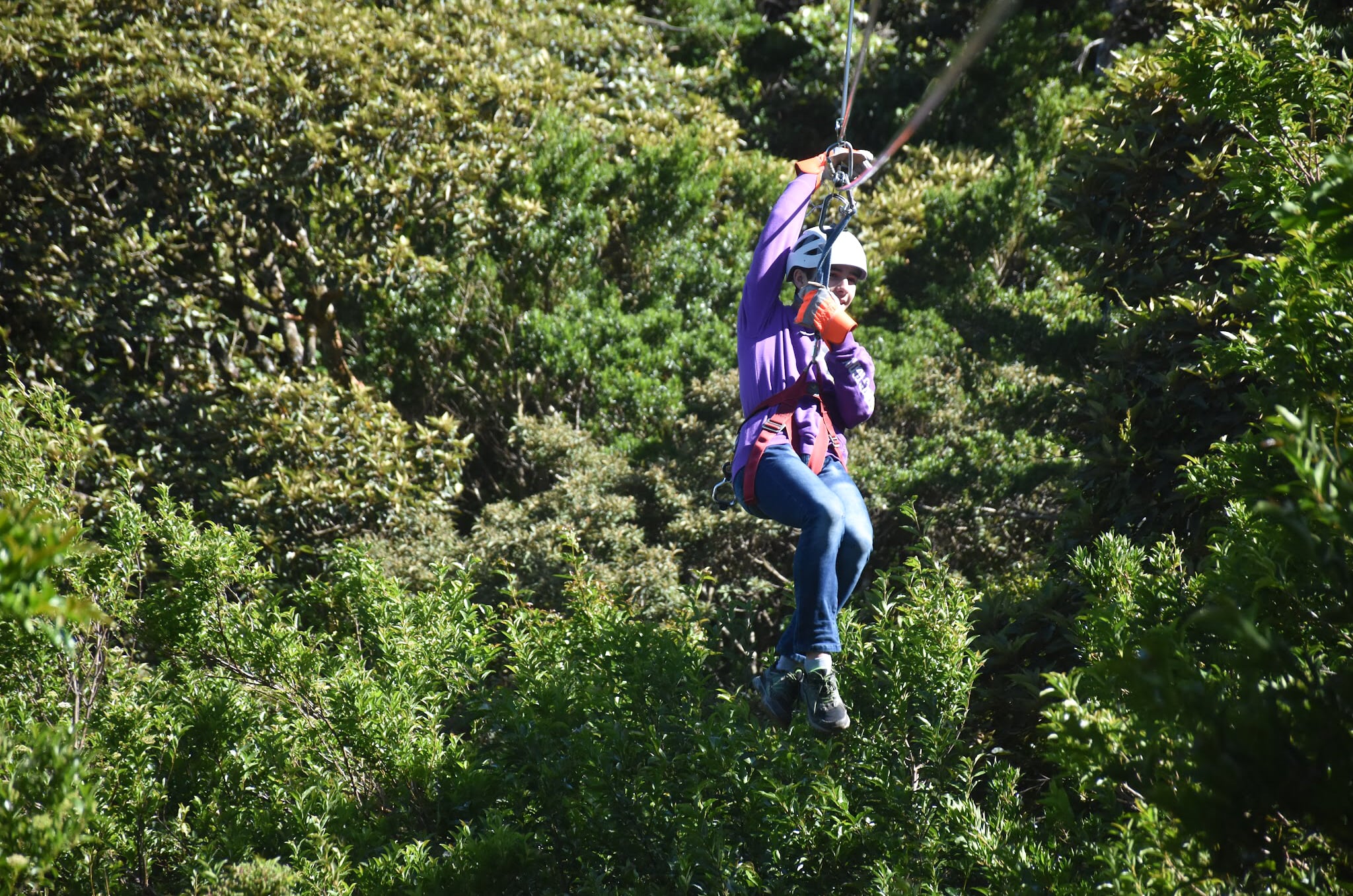 JSED-Costa-Rica-Aventure-Zipline 1