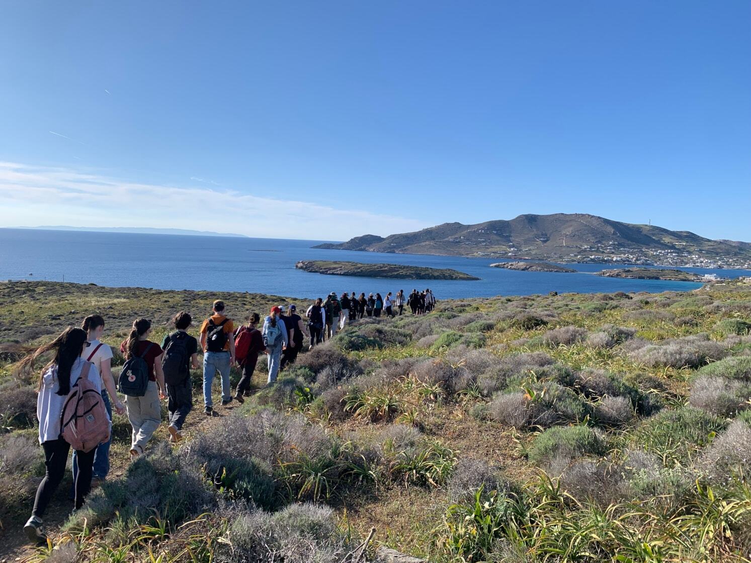 e21339f8-f2a1-4820-970f-5792de3ba955