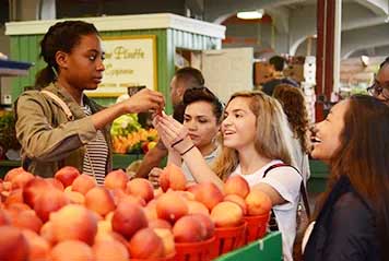 Jumpstreet-Tours-Spanish-French-Montreal-Tours_Jean-Talon-Market_356x239