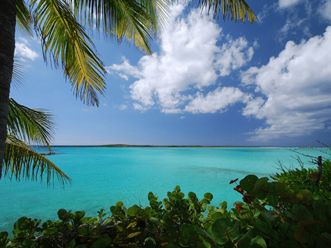 Costa-Rica-Caribbean Coast-357x2655-min