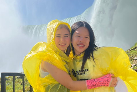 JSED-Niagara Falls-357x262-1 JSED-Niagara Falls-357x262-1