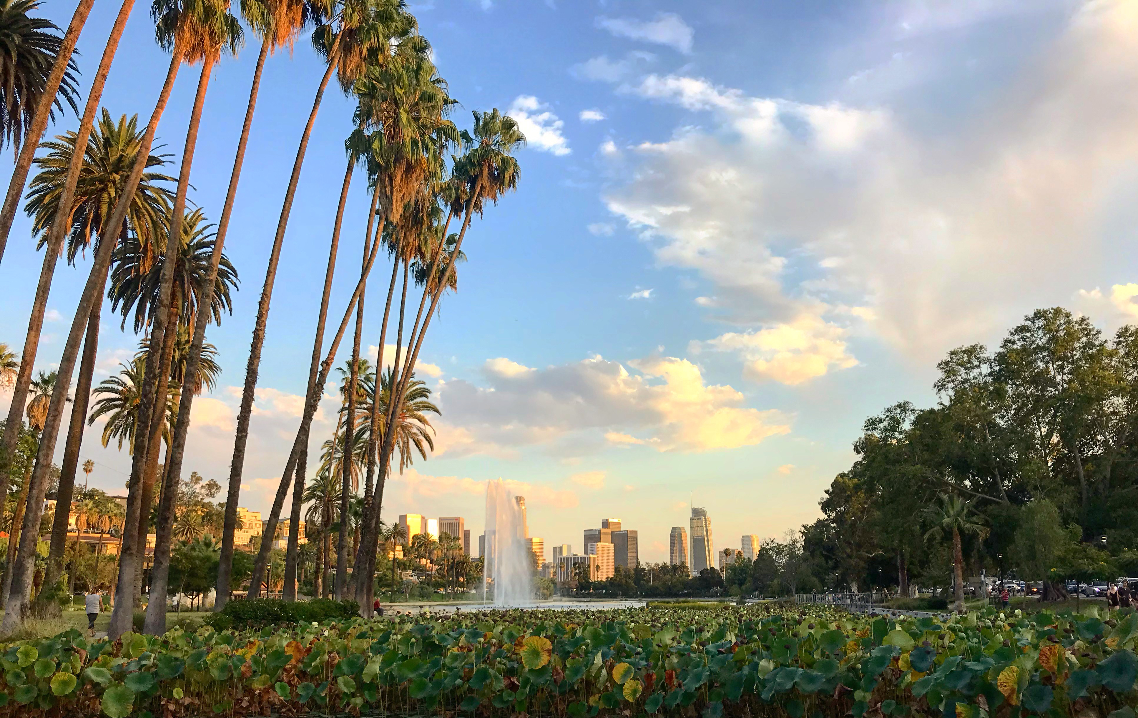 Panorama sur Los Angeles depuis Echo Park