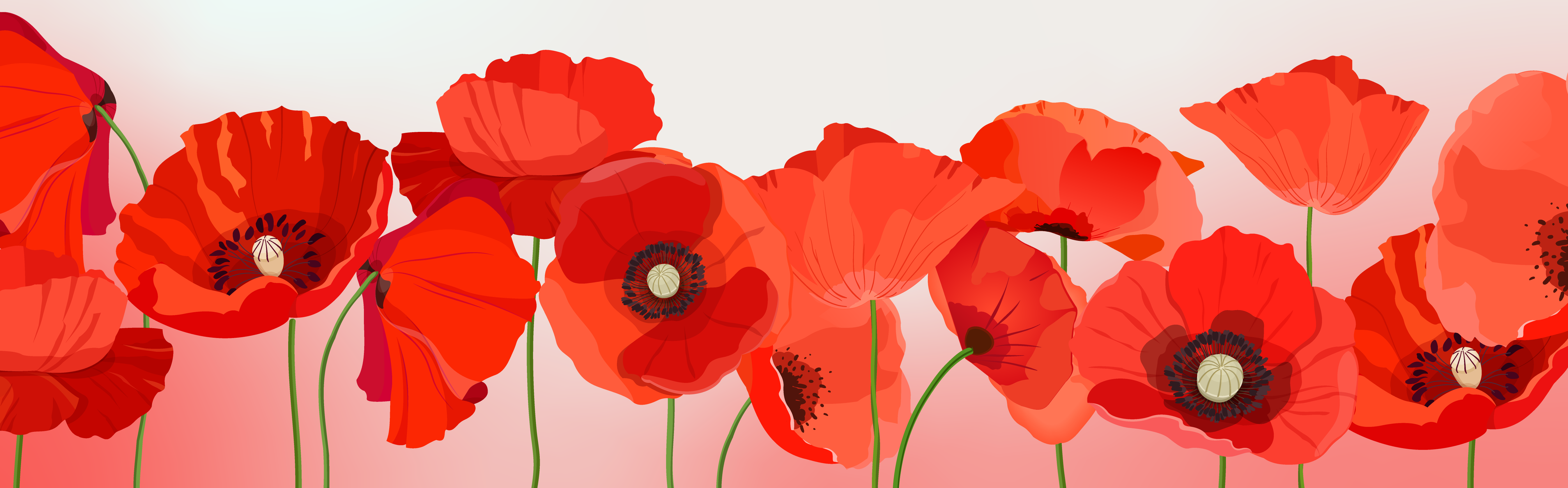 Poppy for Remembrance Day in Canada