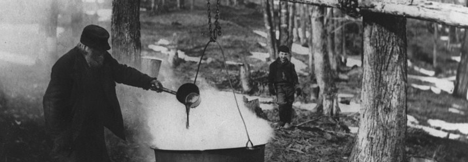 Old photo of a man boiling maple sap into syrup