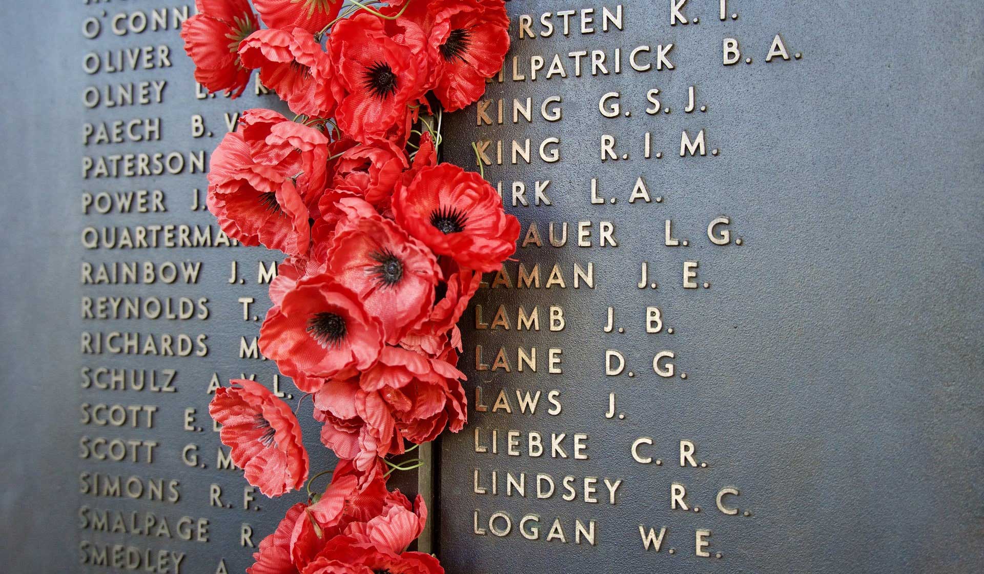 Remembrance Day Resources_Image by Siggy Nowak from Pixabay 