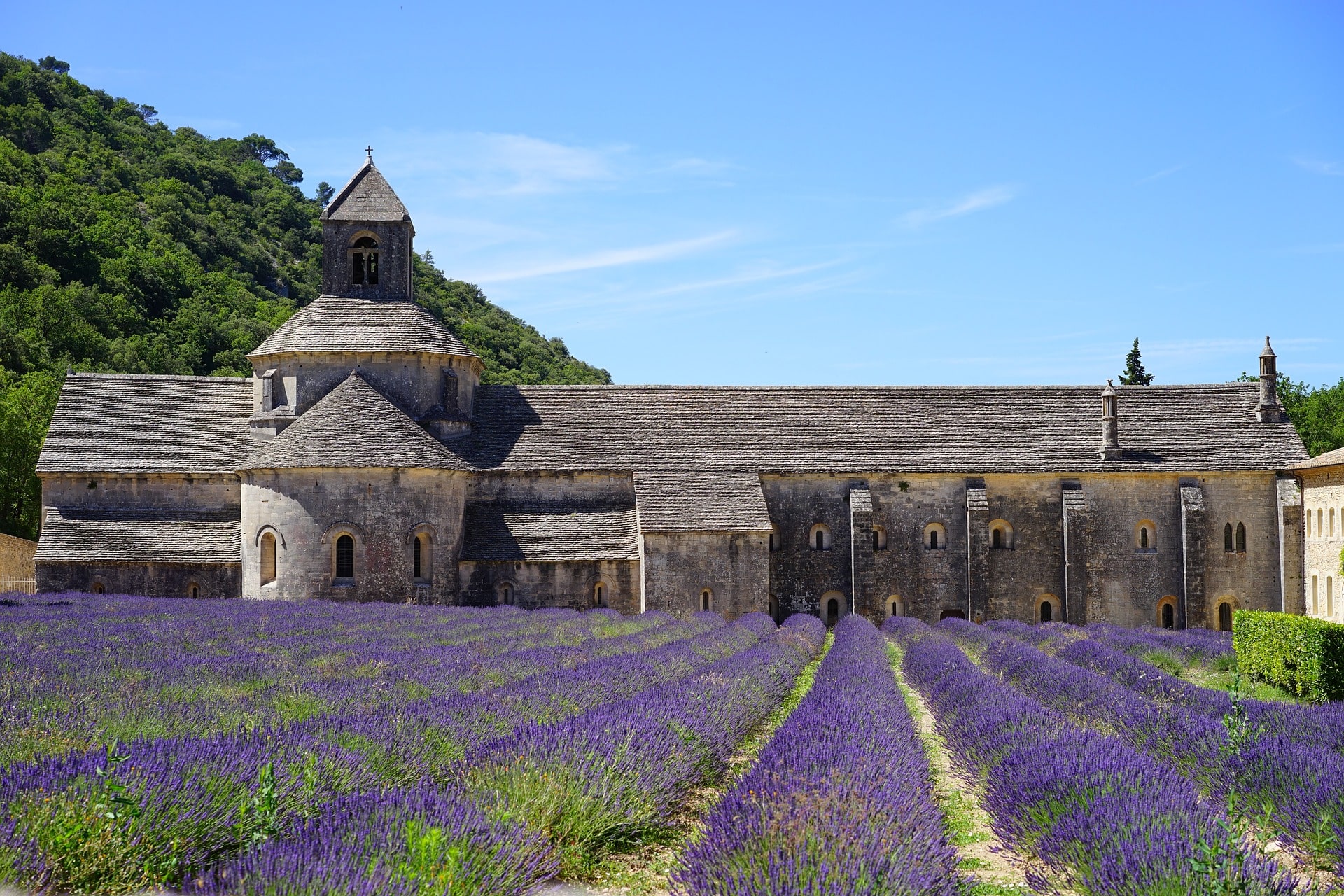 Provence Abaye de sénanque_Pixabay